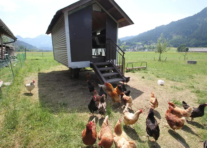 Schwoicherbauer 팜스테이 웨글